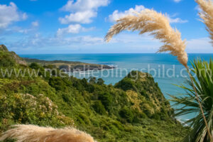 Meerblick Neuseeland Acryl, Alu Dibond, Leinwand