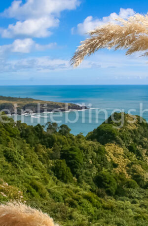 Meerblick Neuseeland Acryl, Alu Dibond, Leinwand